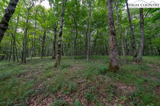 a view of outdoor space and green space