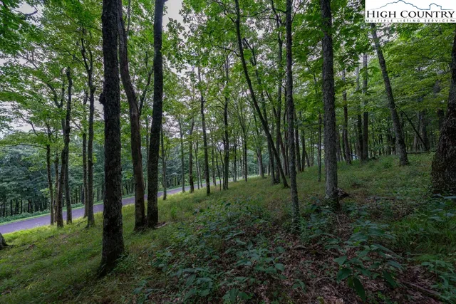 a view of outdoor space and trees
