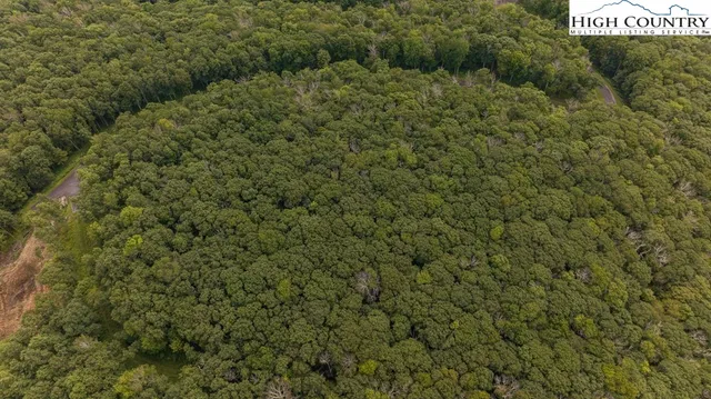 a view of a bunch of trees and bushes