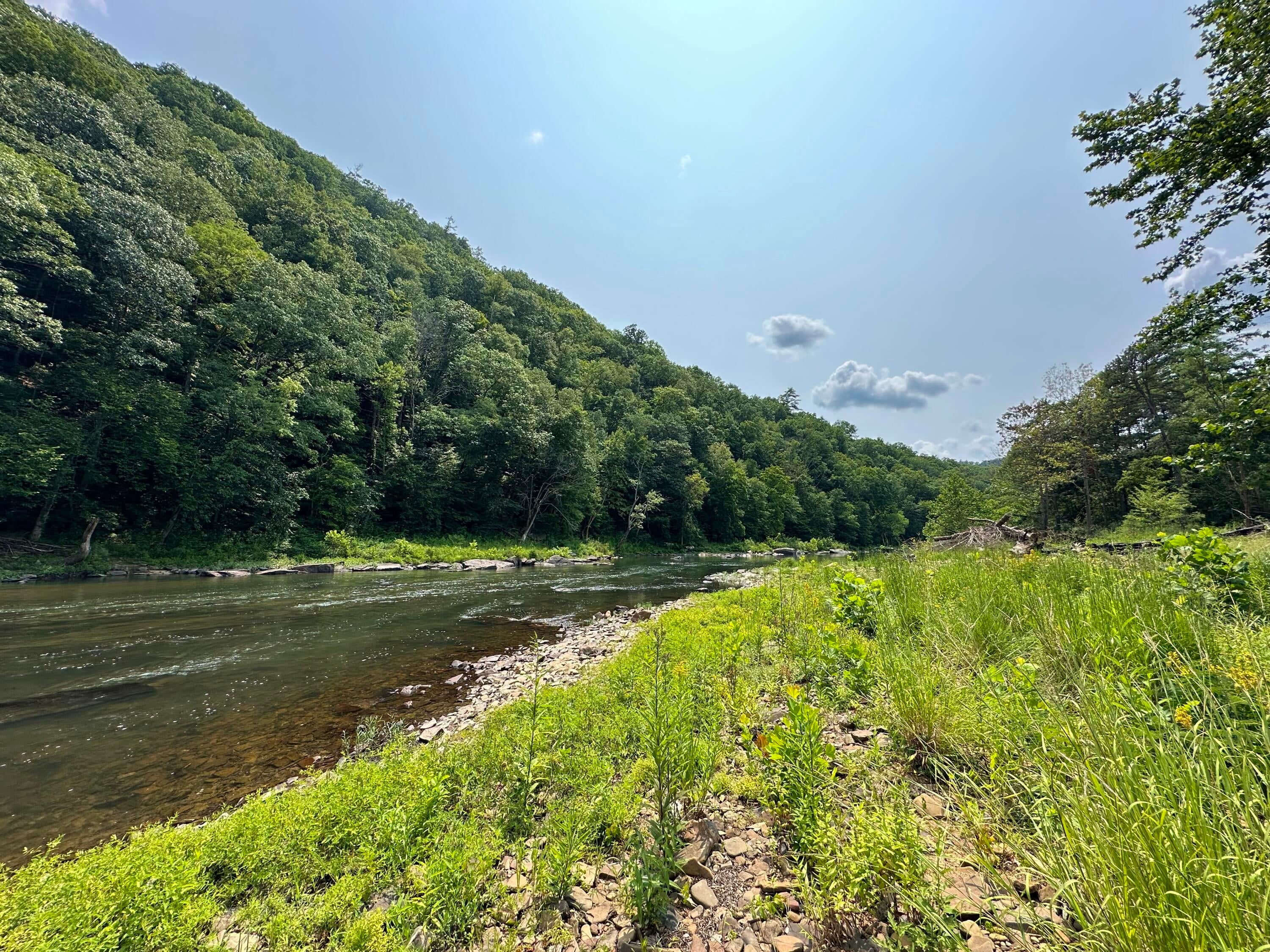 3981 Coleman Cliff Road Frankford, WV 24938 - Photo 52 of 66 3981 Coleman Cliff Rd