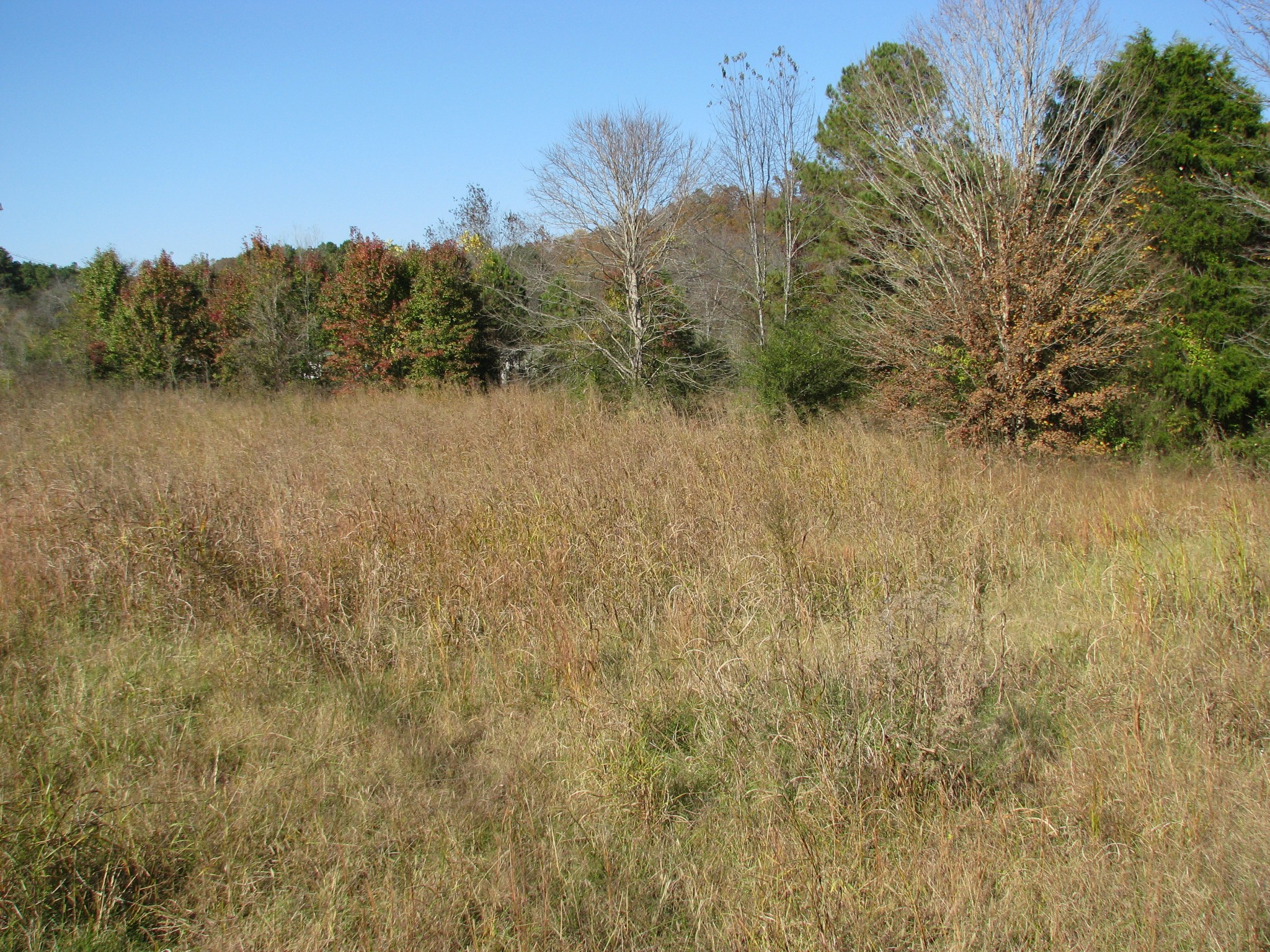 199 Spann Loop Waverly, TN 37185 - Photo 2 of 14 Gallery Image 2