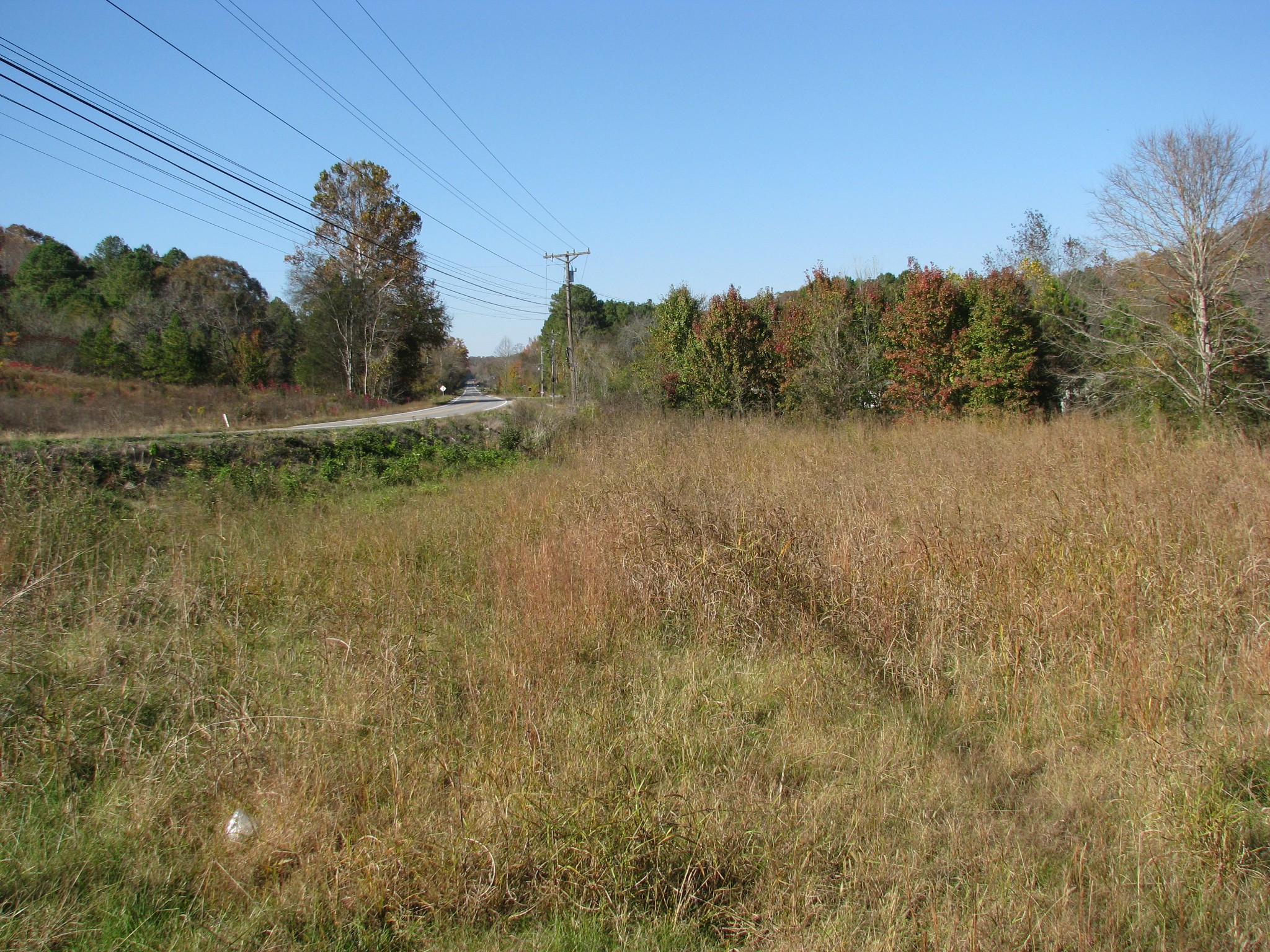199 Spann Loop Waverly, TN 37185 - Photo 4 of 14 Gallery Image 4