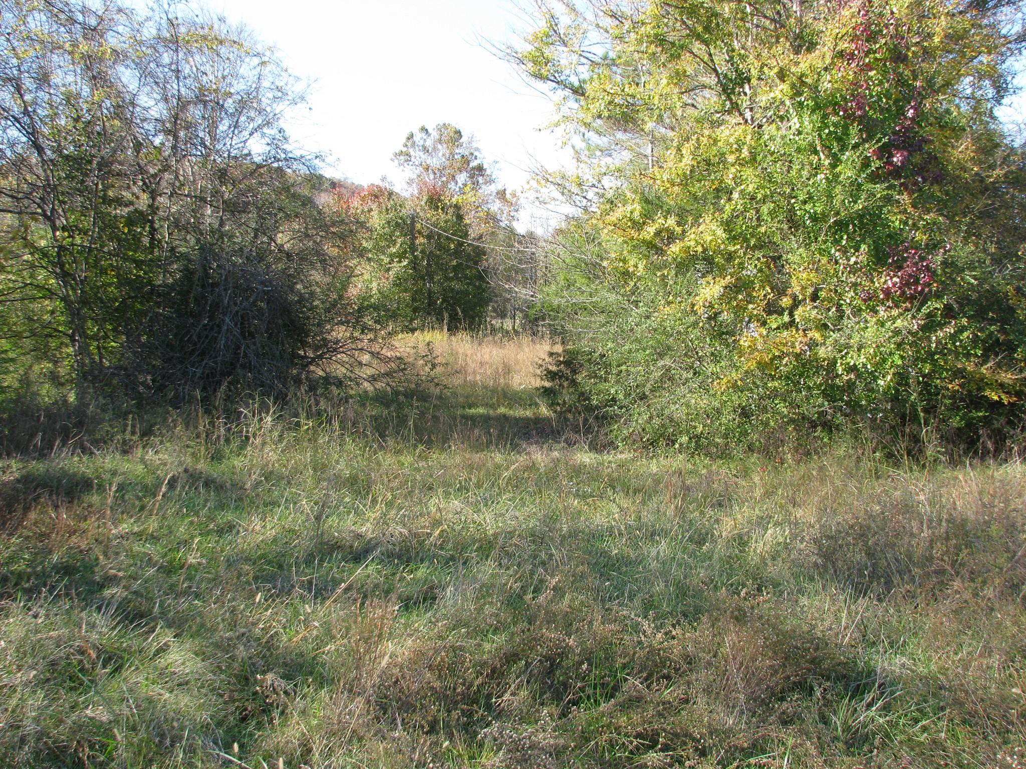 199 Spann Loop Waverly, TN 37185 - Photo 6 of 14 Gallery Image 6