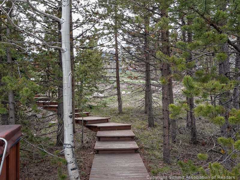 9020 Ryan Gulch Road Silverthorne, CO 80498 - Photo 18 of 25 Yard/Garden.