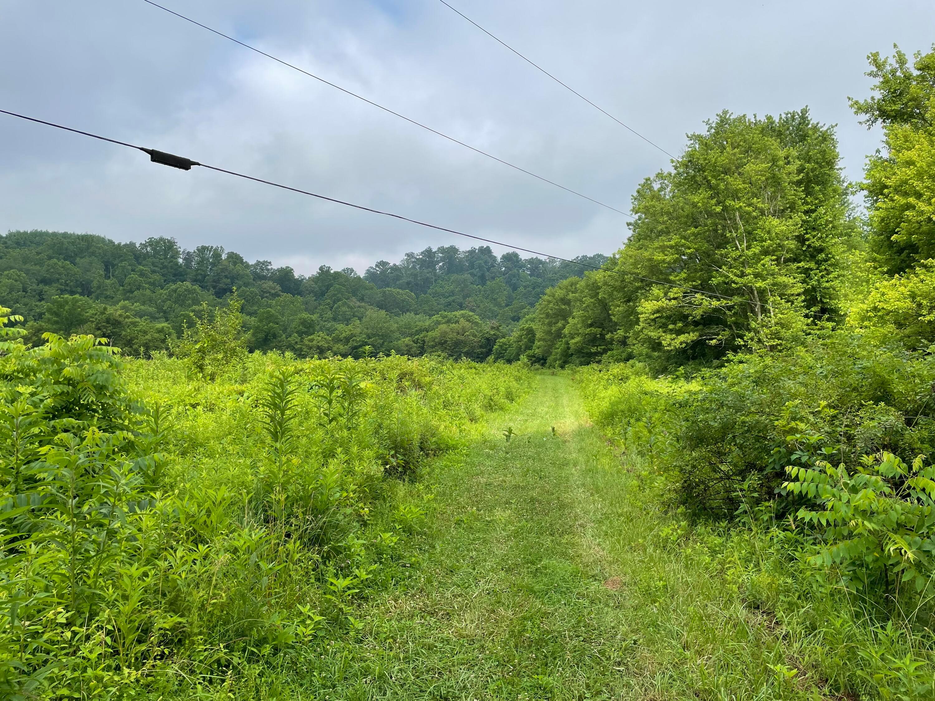 960 Rockcamp Road New Marshfield, OH 45766 - Photo 63 of 73 64) 72666-6a31fff11fa96