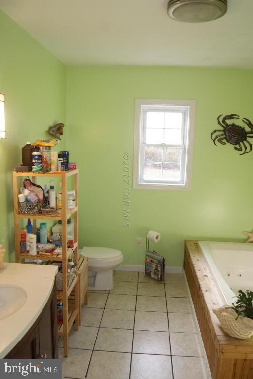 10995 Roland Parks Road Deal Island, MD 21821 - Photo 16 of 30 a bathroom with a sink and a toilet