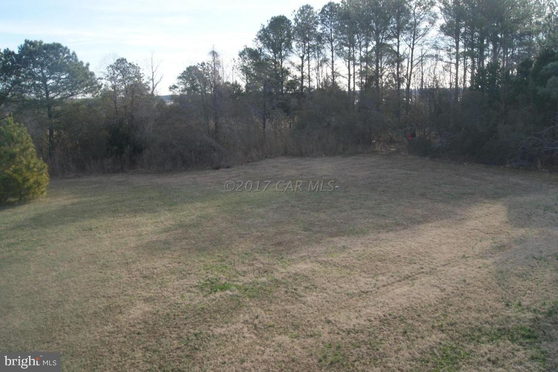 10995 Roland Parks Road Deal Island, MD 21821 - Photo 24 of 30 a view of a dry yard with trees in the background