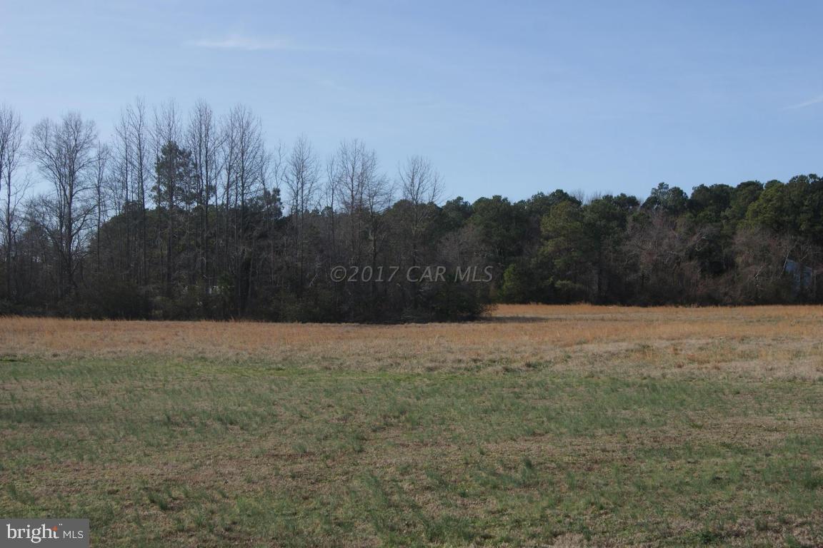 10995 Roland Parks Road Deal Island, MD 21821 - Photo 26 of 30 a view of dirt field with trees in the background