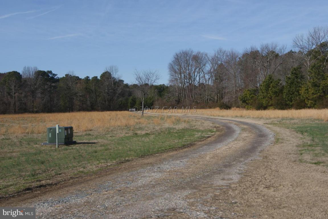 10995 Roland Parks Road Deal Island, MD 21821 - Photo 30 of 30 a view of a field with trees in the background