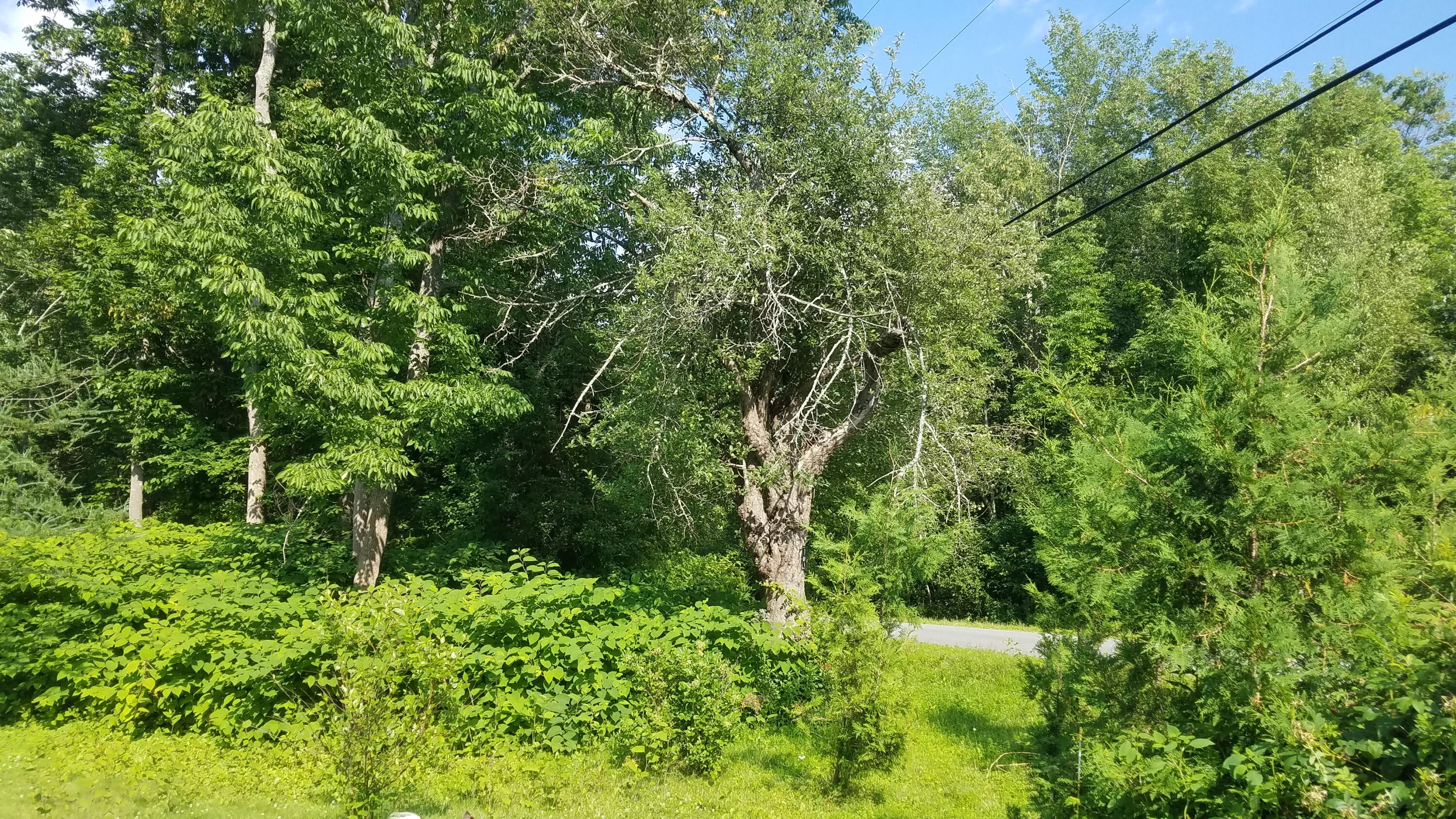 489 Youngtown Road Lincolnville, ME 04849 - Photo 39 of 44 20220720_160638
