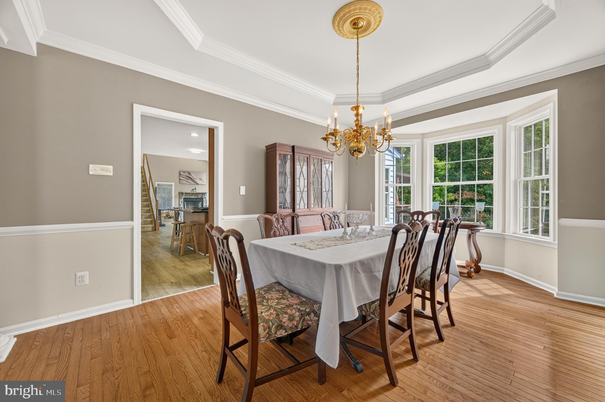 342 Canyon Road Winchester, VA 22602 - Photo 26 of 93 Dining Area with tray ceilings