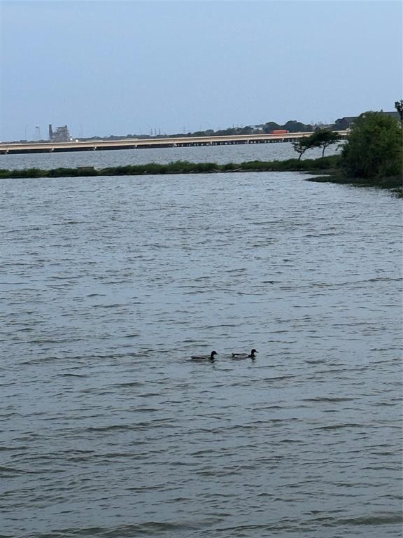7849 Sunset Boulevard Rowlett, TX 75088 - Photo 17 of 19 This property offers views of a large body of water, a distant bridge, and a natural shoreline with vegetation