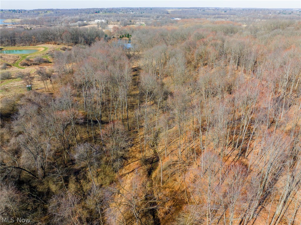2535 Millersburg Road Wooster, OH 44691 - Photo 46 of 46 Drone / aerial view
