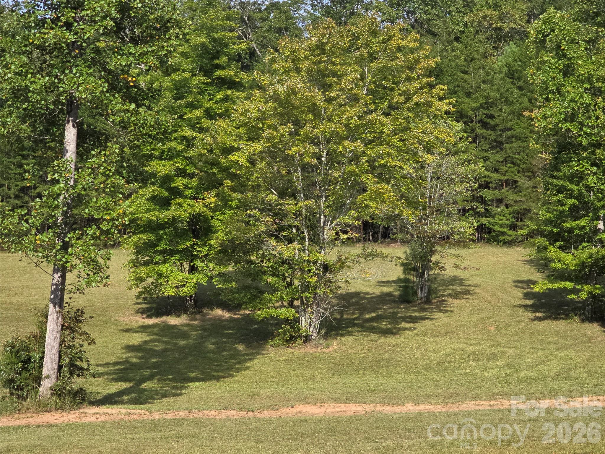 1696 Old Cc Road Rutherfordton, NC 28139 - Photo 2 of 5