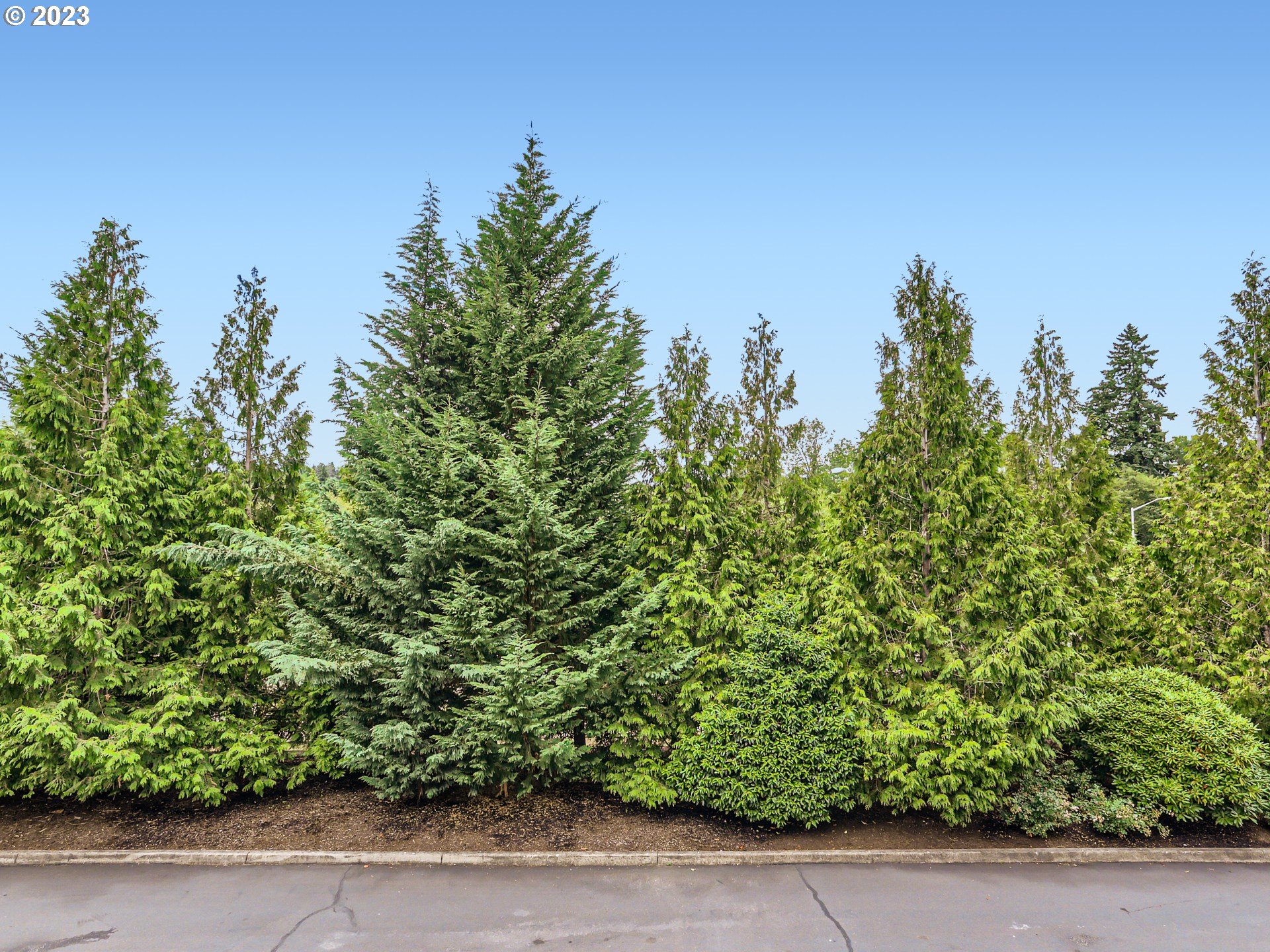 11670 Southwest Auklet Loop Beaverton, OR 97007 - Photo 22 of 28 Gallery Image 22