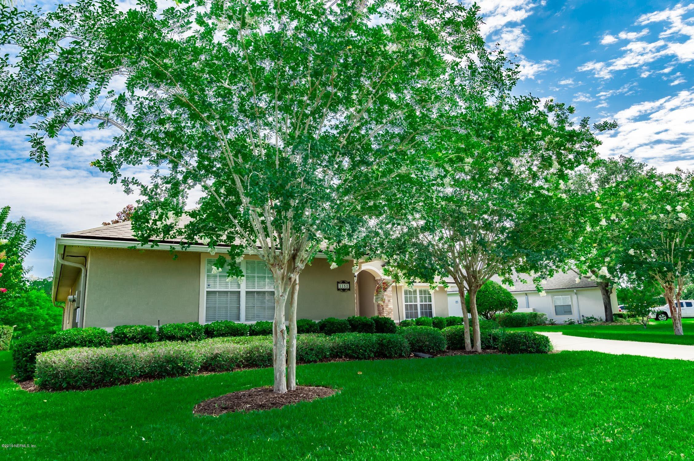 1152 Sandlake Road St. Augustine, FL 32092 - Photo 28 of 46 a backyard of a house with plants and large tree