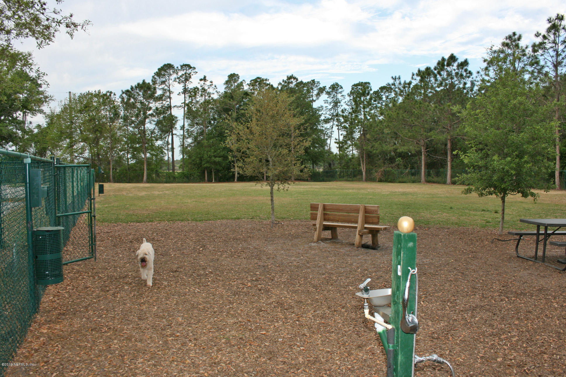 1152 Sandlake Road St. Augustine, FL 32092 - Photo 36 of 46 a view of a park with large trees