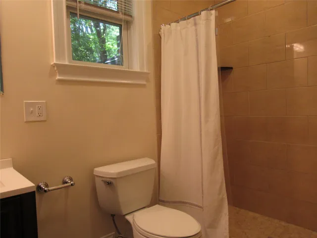 a white toilet sitting next to a shower curtain