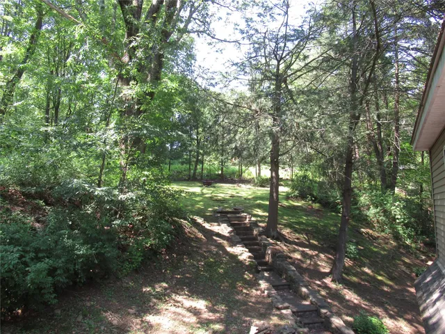 a view of a yard with plants and a trees