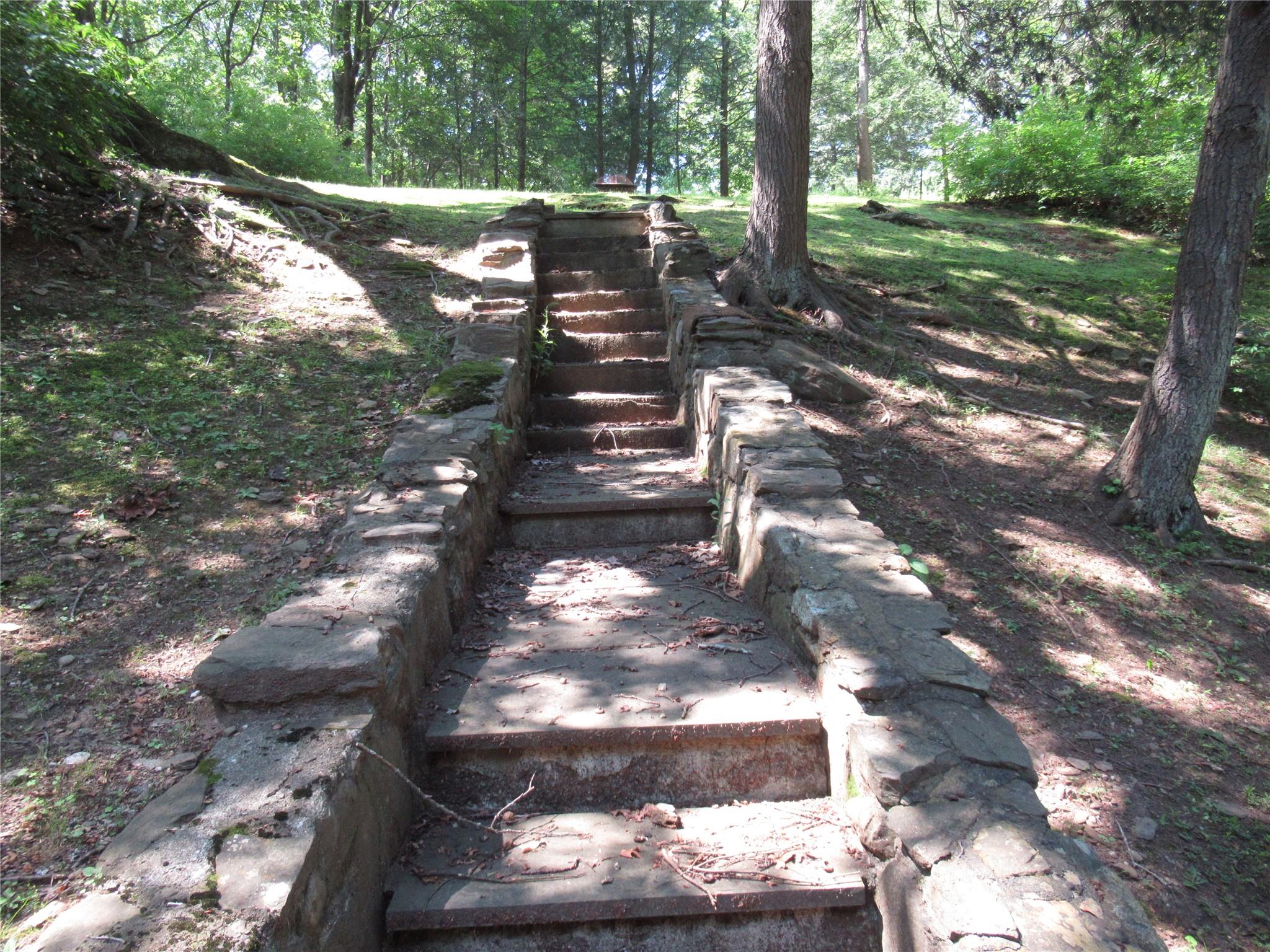 101 Bundy Hill Road Holmes, NY 12531 - Photo 24 of 28 a view of a yard with plants and a trees
