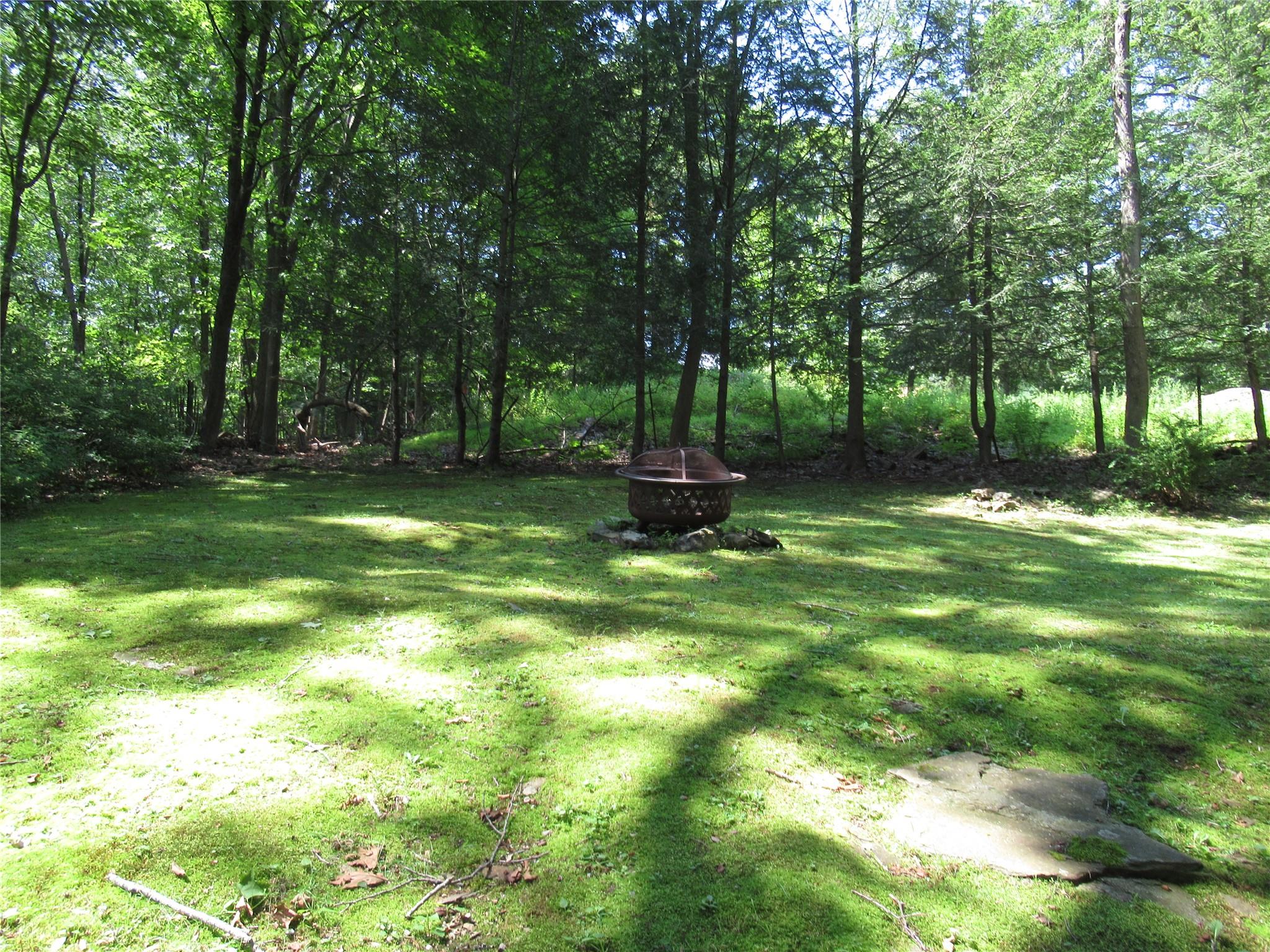 101 Bundy Hill Road Holmes, NY 12531 - Photo 25 of 28 a backyard of a house with lots of green space and fountain