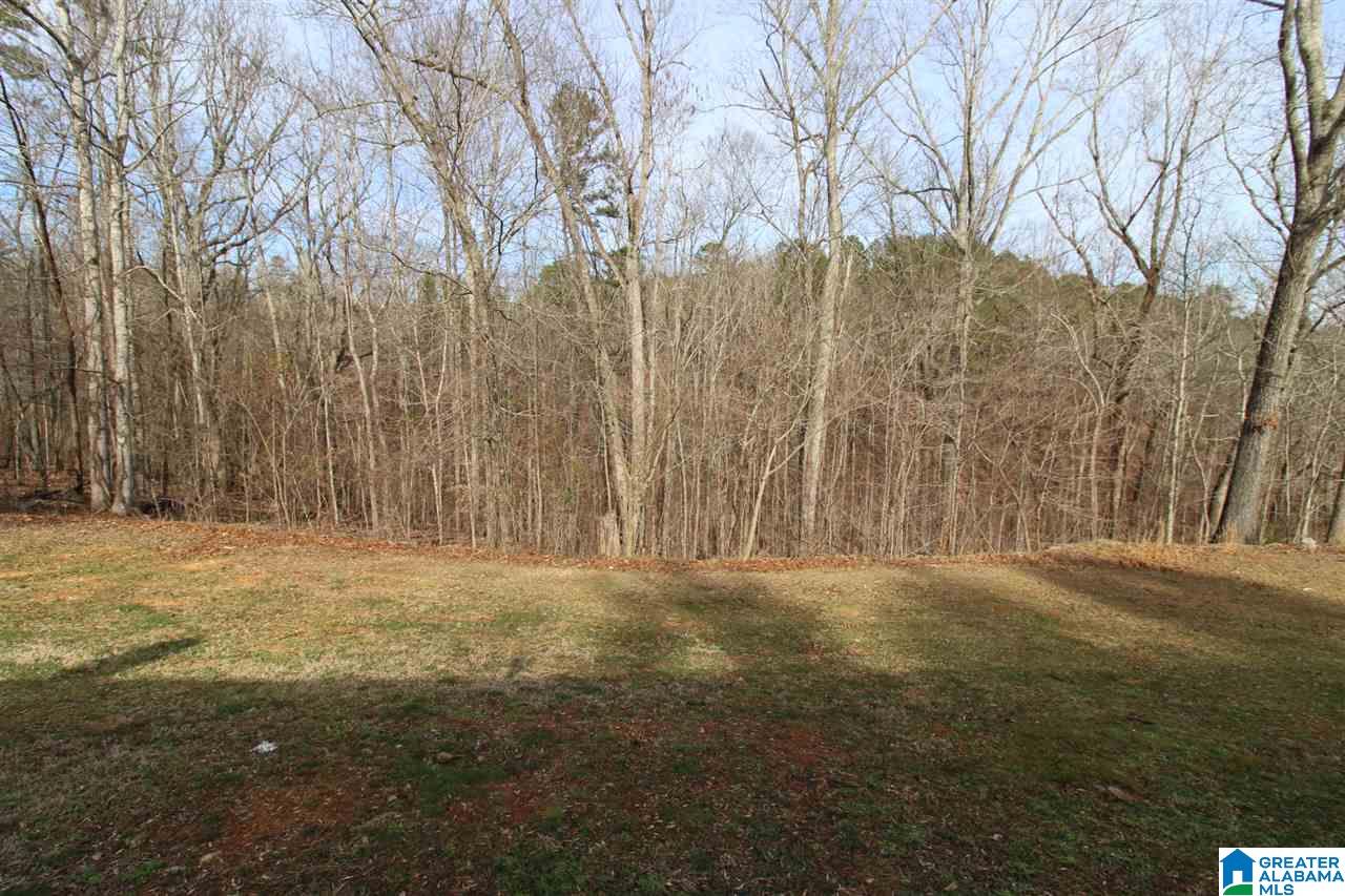 5345 Red Valley Road Remlap, AL 35133 - Photo 17 of 20