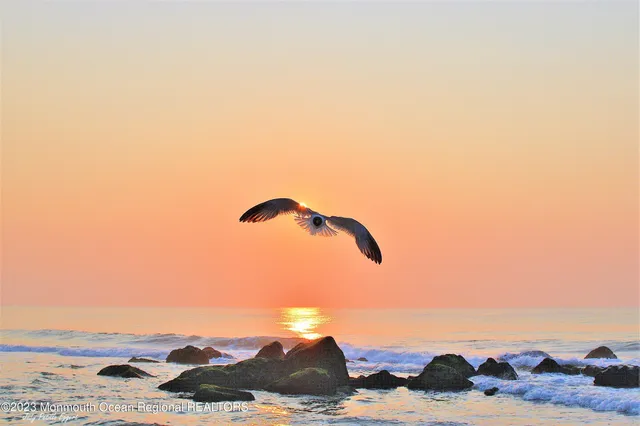 $2,300 | 100 18th Avenue, Unit 2 2, Belmar, NJ 07719