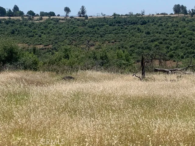 0 Calernbar Road Paradise, CA 95969 - Photo 11 of 17 a view of a dry yard with trees