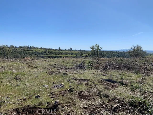 0 Calernbar Road Paradise, CA 95969 - Photo 14 of 17 a view of a field with trees in the background