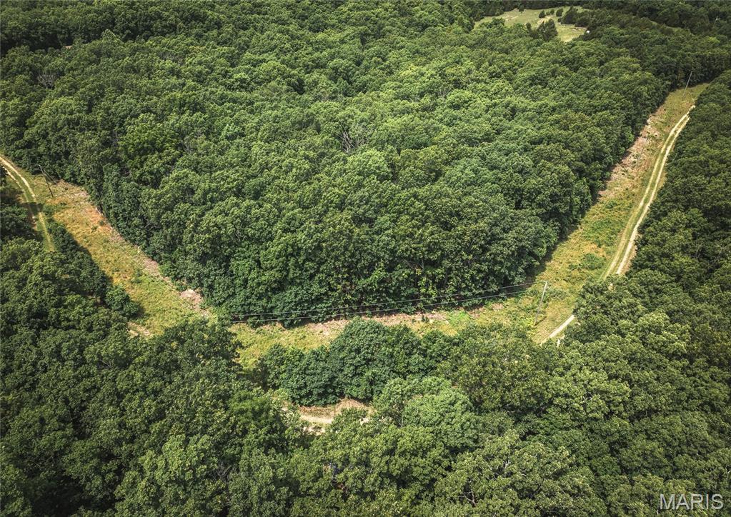 0 Rolling Rock Road Richland, MO 65556 - Photo 11 of 27