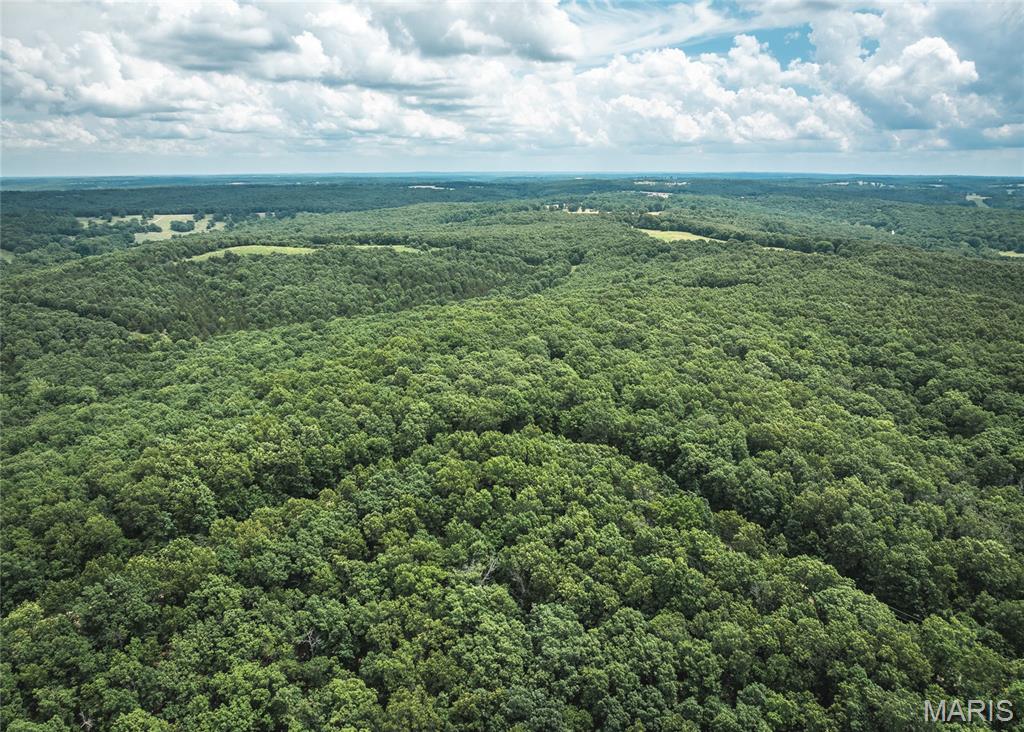 0 Rolling Rock Road Richland, MO 65556 - Photo 15 of 27