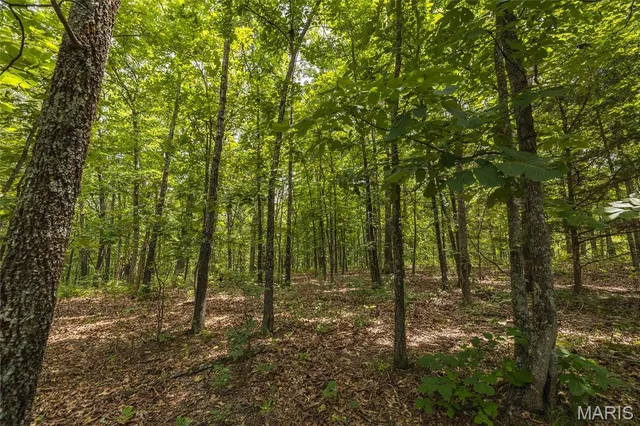 $90,000 | 0 Rolling Rock Road, Richland, MO 65556