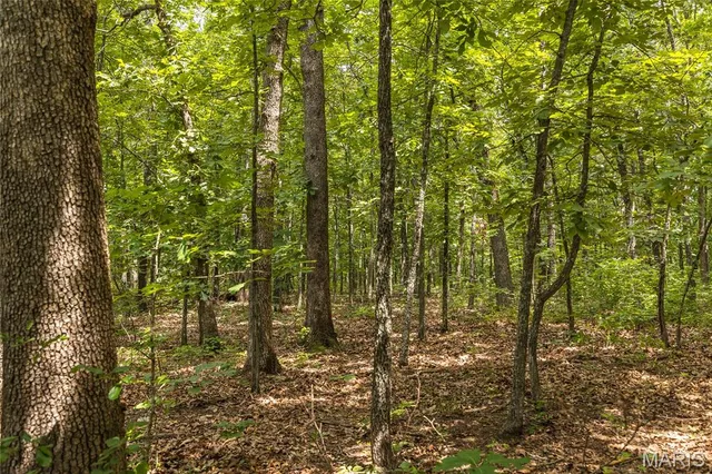 $90,000 | 0 Rolling Rock Road, Richland, MO 65556