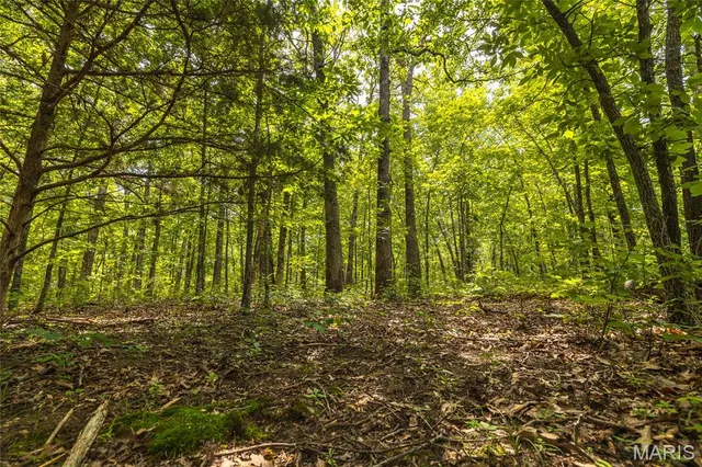 $90,000 | 0 Rolling Rock Road, Richland, MO 65556