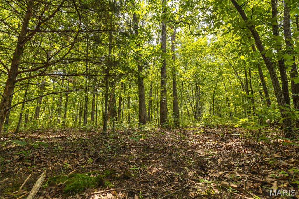 0 Rolling Rock Road Richland, MO 65556 - Photo 27 of 27