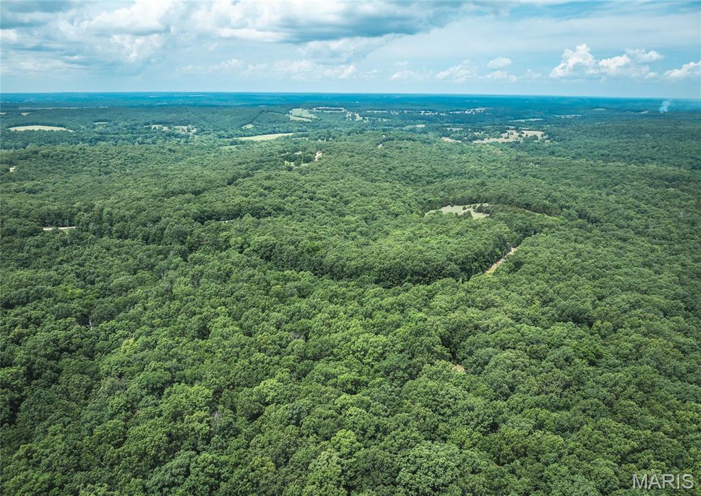 0 Rolling Rock Road Richland, MO 65556 - Photo 3 of 27