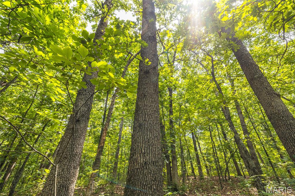 0 Rolling Rock Road Richland, MO 65556 - Photo 6 of 27
