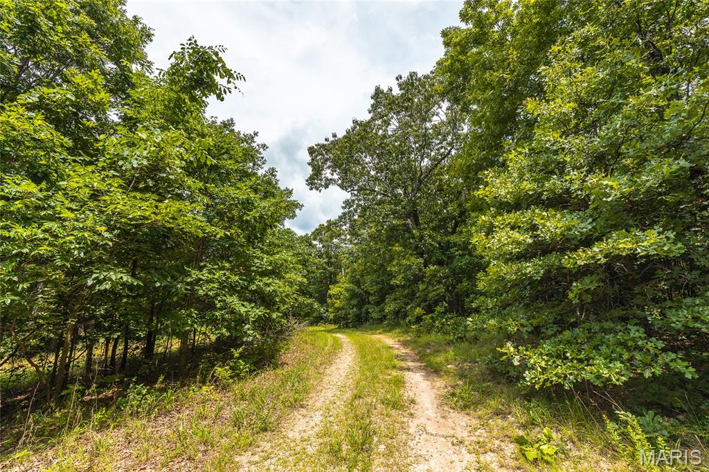 0 Rolling Rock Road Richland, MO 65556 - Photo 7 of 27