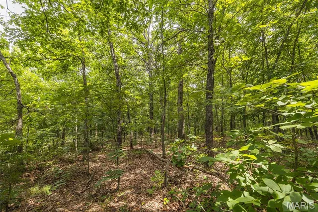 $90,000 | 0 Rolling Rock Road, Richland, MO 65556