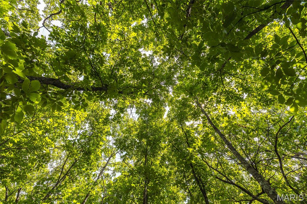 0 Rolling Rock Road Richland, MO 65556 - Photo 9 of 27