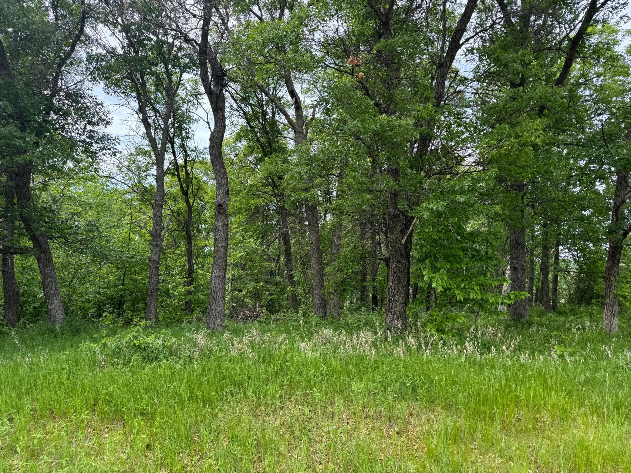 Tbd Tbd Pawnee Breezy Point, MN 56472 - Photo 2 of 3