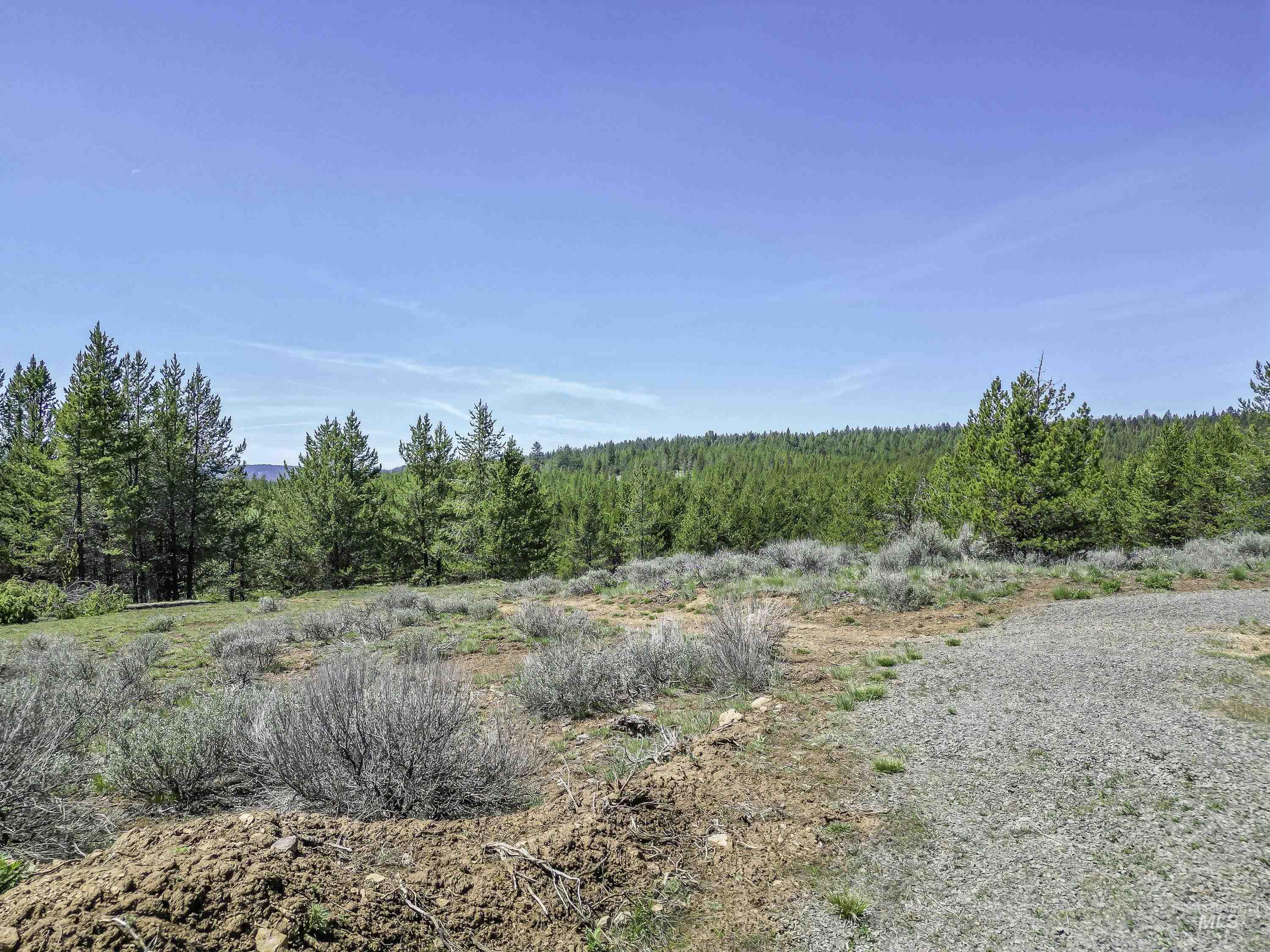 Tbd Deer Creek Road Winchester, ID 83555 - Photo 20 of 39
