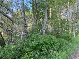 9000 Chase Bridge Road Roscommon, MI 48653 - Photo 11 of 15 Gallery Image 11