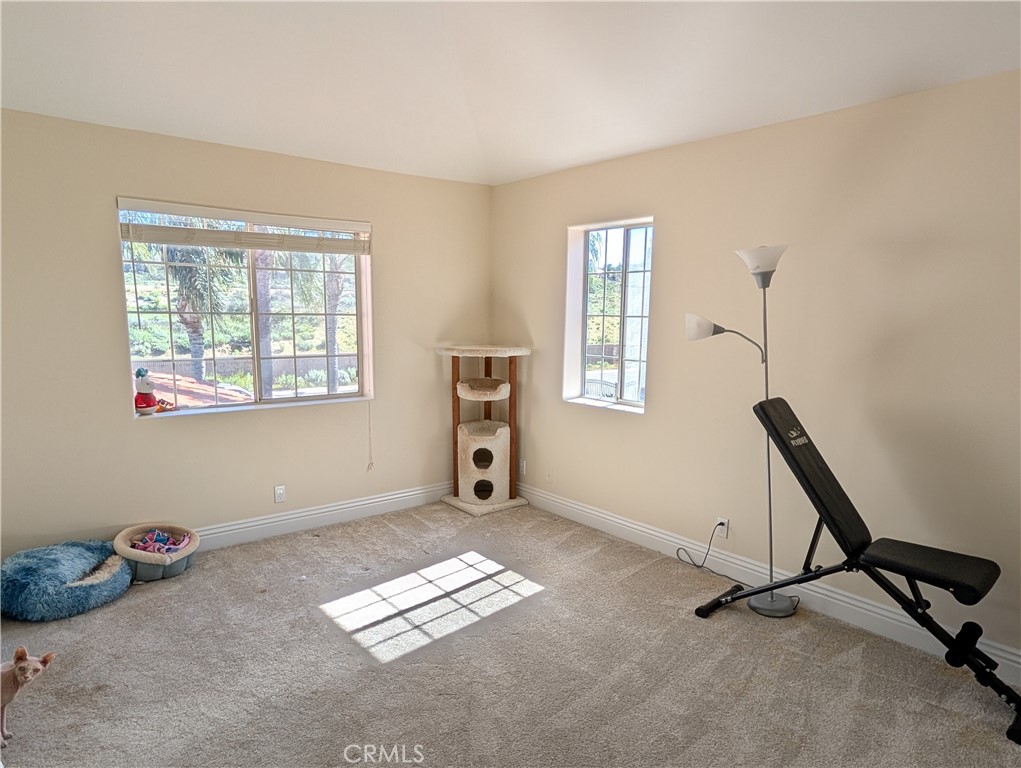 1719 Crystal Ridge Court Riverside, CA 92506 - Photo 27 of 60 a view of a room with gym equipment