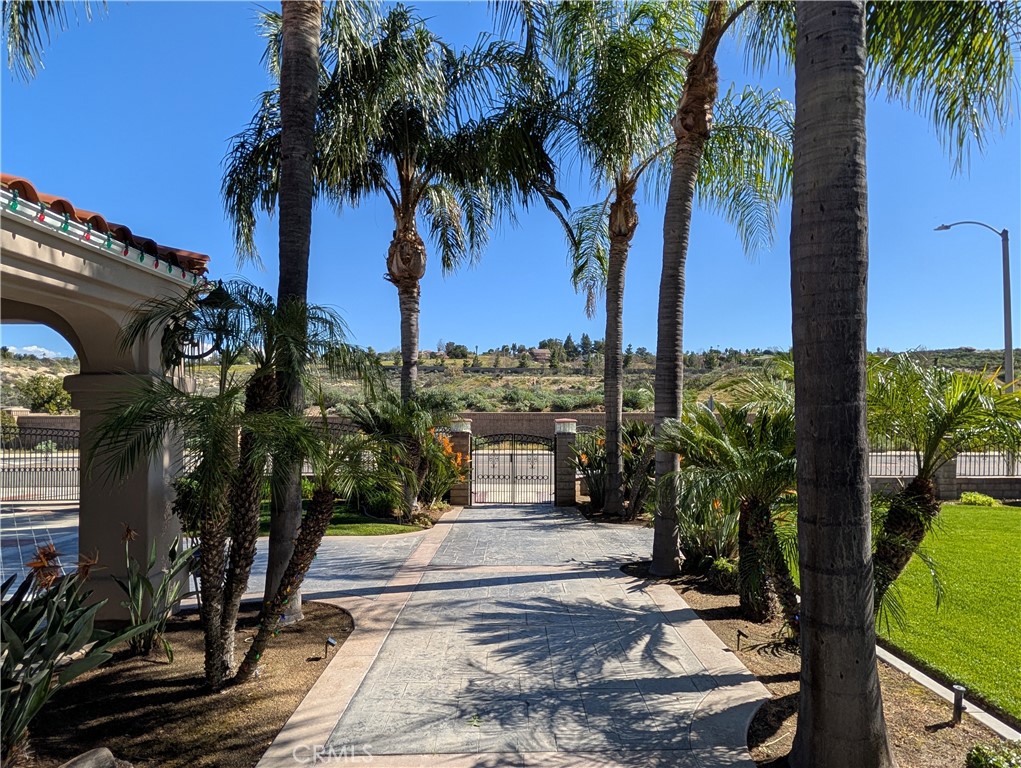 1719 Crystal Ridge Court Riverside, CA 92506 - Photo 6 of 60 a view of a palm trees front of the house