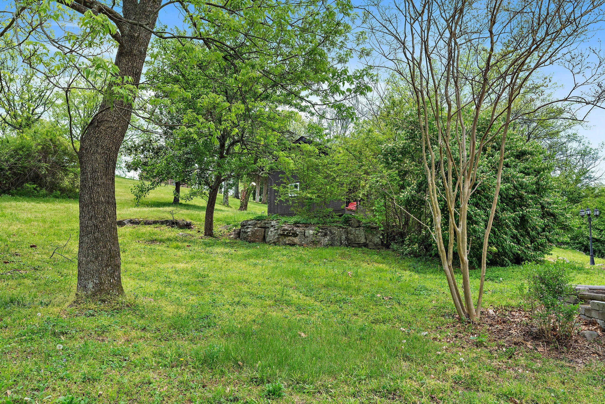 5521 Cane Ridge Road Antioch, TN 37013 - Photo 27 of 32 a view of park with trees