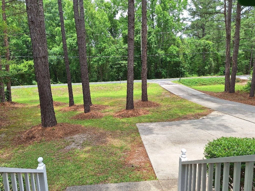 2279 Tickle Hill Road Camden, SC 29020 - Photo 7 of 26 Gallery Image 7