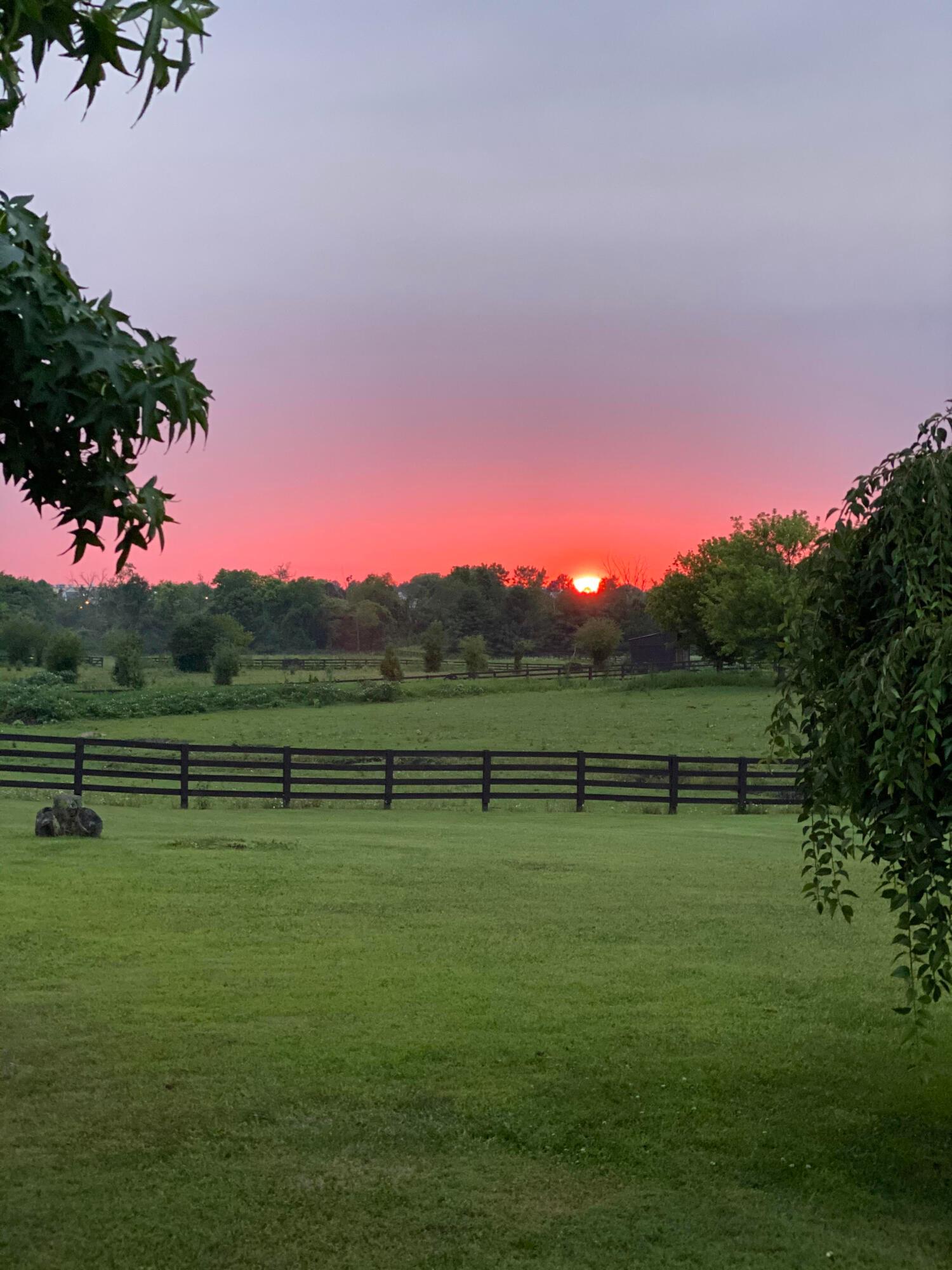 757 State Rte 61 Sunbury, OH 43074 - Photo 61 of 63 Backyard