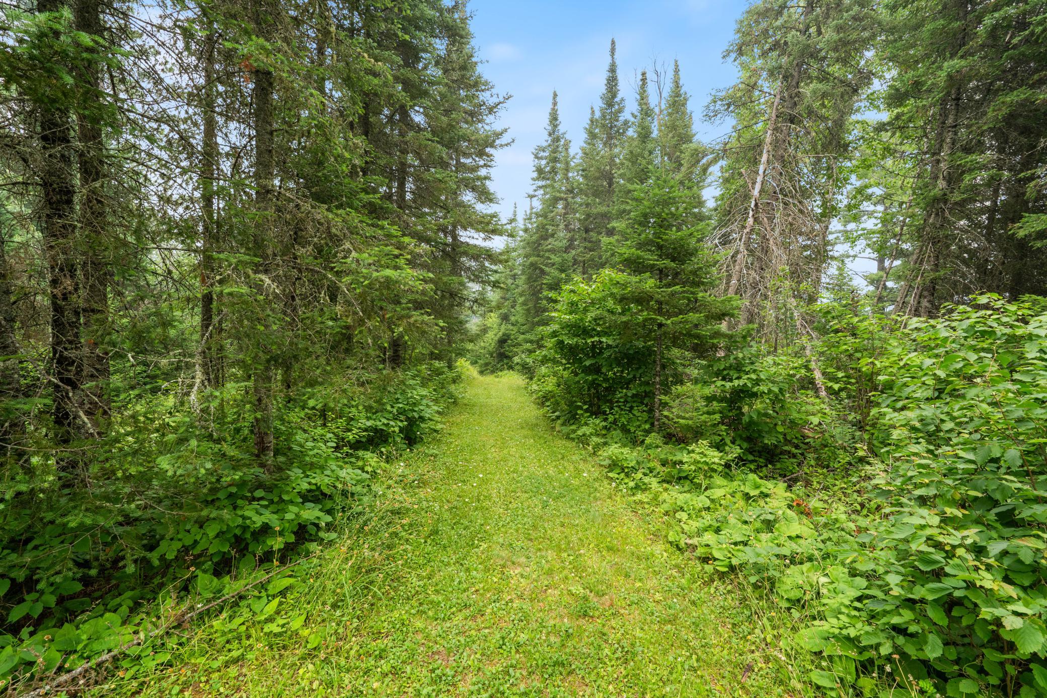 6701 Koski Road Tower, MN 55790 - Photo 28 of 37
