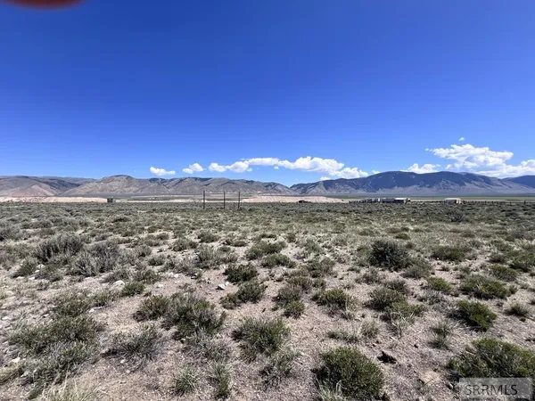 $225,000 | 22 Sutton Lane, Leadore, ID 83464